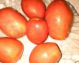 A picture of step 1 of Tomato sauce.