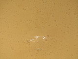 Tiramisú