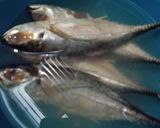 Foto langkah ke 1 dari resep Ikan Goreng.