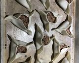 Foto del paso 2 de la receta: Empanadas árabes