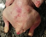 Foto del paso 1 de la receta: Pollo asado con pimientos verdes
