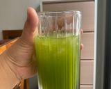 Foto langkah ke 2 dari resep Green Juice No Added Sugar.