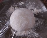 Foto del paso 1 de la receta: Gyozas de Cerdo