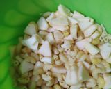 A picture of step 4 of Macorani chat.