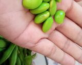 Foto langkah ke 3 dari resep Edamame rebus.
