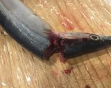 Hình bước làm 1 của món Cá Thu Đao Sanma Nướng Chiều Vợ
