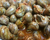 Foto del paso 1 de la receta: Caracoles de invierno
