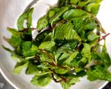 তরমুজ আর কমলার ককটেল (tormuj ar komlar cocktail recipe in Bengali) রেসিপির ধাপ 2 ছবি