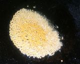 A picture of step 2 of Tawa Mustard mint rice.