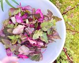 Hình bước làm 1 của món 🌱 Cơm Chiên Rau Dền Đỏ (Vegan)