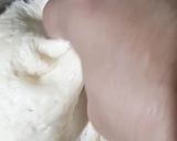 A picture of step 8 of Pizza Hut Style Momo Pizza.