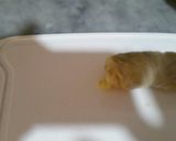 صورة لخطوة 1 من وصفة كرنب (ملفوف) محشي