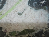 Lemper Cetak Loyang