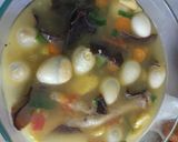 Foto langkah ke 6 dari resep (Salin dari) Sup Kimlo Ayam.