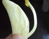 Foto langkah ke 1 dari resep Tumis Bunga Turi.