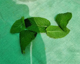 Foto del paso 3 de la receta: Mojito