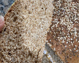 Foto del paso 5 de la receta: Pan casero de harina integral modo FÁCIL!