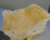 Foto del passaggio 6 della ricetta Risotto cacio,pere e cialda di Parmigiano