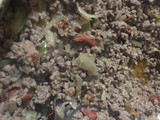 Empanadas de carne con berenjenas y zapallitos asados