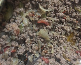 Foto del paso 2 de la receta: Empanadas de carne con berenjenas y zapallitos asados