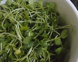 Hình bước làm 1 của món Salad rau mầm rong biển