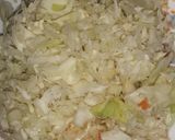 ক্যাবেজ স্টাফড চীজ ওমলেট(cabbage stuffed chees omlette recipe in Bengali) রেসিপি ধাপ - 1 ছবি