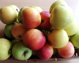 Almadzsem körtével 🍎🍐 recept fázis 1 fotója