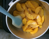 Foto langkah ke 1 dari resep Peach Pie.