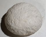 Foto del paso 3 de la receta: 🥖Pan de campo casero 🥖 Económico y rendidor
