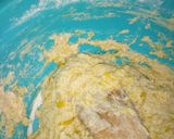A picture of step 4 of Soft layered pumpkin chapati.