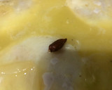 Foto del paso 3 de la receta: Medallones de merluza encebollados