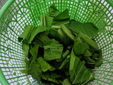 24) Sayur Bening Sawi Ijo wortel & Baso