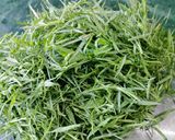 A picture of step 1 of Chana Saag Fry.