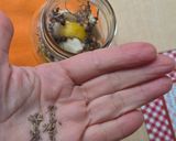 Foto del paso 4 de la receta: Ajos fermentados para una microbiota feliz 🥳de la saga #lafarmaciaentucocina 🧄🫚🍯 🍋