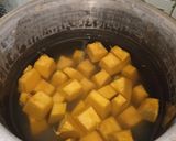 Foto langkah ke 2 dari resep Kolak Waluh / Labu Parang.