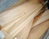 Foto del paso 8 de la receta: Tamales: Rojo, Rajas y Queso