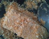 Foto langkah ke 4 dari resep Risoles mayo roti tawar simple ala Those.