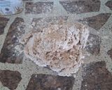 Foto del paso 4 de la receta: Pan casero semi integral