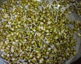 A picture of step 2 of Mung Bean Sprouts.