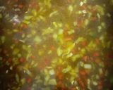 A picture of step 6 of Noddles soup.