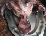 Foto del paso 3 de la receta: Ropa vieja de pulpo