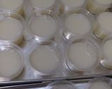 Foto langkah ke 2 dari resep Puding Susu Buah.