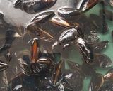 Une image de l'étape 1 de Moule au roquefort.