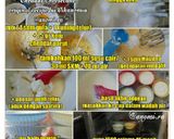 Foto langkah ke 1 dari resep Cheddar Cheesecake.