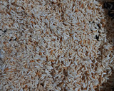 Foto del paso 3 de la receta: Arroz rojo con calabaza