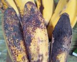 Foto langkah ke 1 dari resep Kolak pisang mutiara.