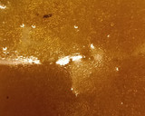 Foto del paso 8 de la receta: Sopa crema de zapallo cabutia