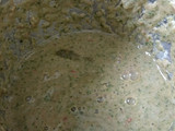 Pudinewalla Chicken