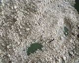 A picture of step 2 of Tigernut Powder/Flour.