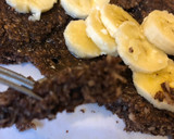 Foto del paso 2 de la receta: Panqueque fit de coco y cacao con banana y miel, una ricura saludable!